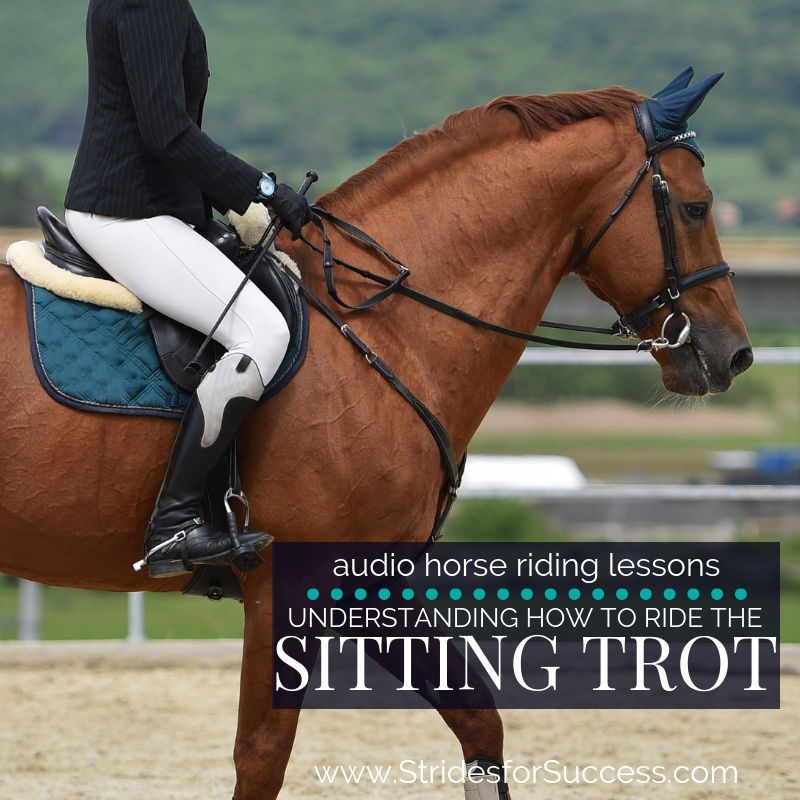 Understanding How to Ride the Sitting Trot – Daily Strides